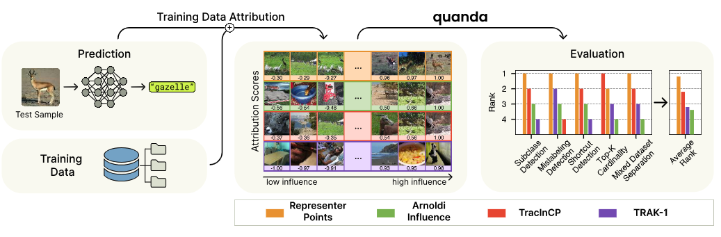 Quanda"